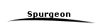 Spurgeon
